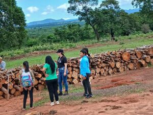 Intervención fiscal constata tala selectiva, pero descarta deforestación masiva en Cerro Corá