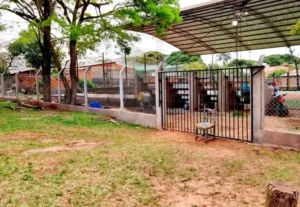 Nueva amenaza de tiroteo en colegio de Capitán Bado genera alerta máxima
