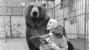 La extraordinaria historia de Hércules, el oso al que una pareja adoptó y crio como parte de su familia