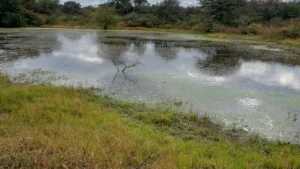 Gas en el Chaco paraguayo: Investigador de energía aboga por su explotación como vía de desarrollo