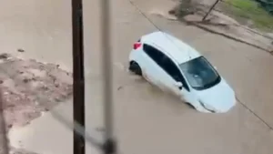 Temporal en Asunción deja árboles caídos y autos atrapados en baches