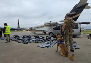 Unos 261 kilos de marihuana premium se incautaron en suelo paraguayo de un jet de Estados Unidos