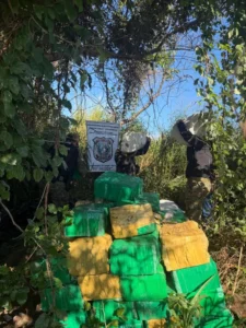 Destruyen campamento con más de seis toneladas de marihuana en Pedro Juan Caballero