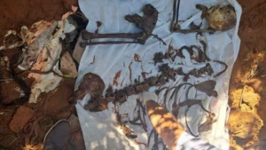 Restos óseos hallados en arroyo de Lambaré ya están en la morgue judicial para ser analizados