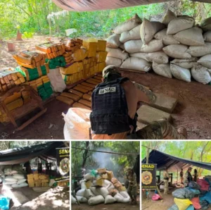SENAD incauta 1.720 kilos de marihuana en Amambay destinados al mercado brasileño