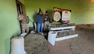 Detienen a un hombre y queman toneladas de marihuana en Capitán Bado
