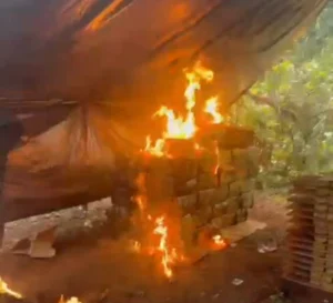 Incineran más de 2.500 kilos de marihuana en un centro de acopio de Cerro Corá