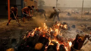 «Si me hubiera demorado cinco minutos más, nos habría arrasado»: los testimonios de los afectados por los devastadores incendios en España y Francia