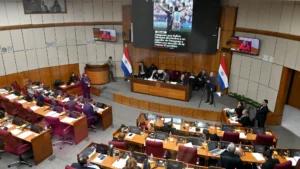 ¿Qué dijeron desde el Senado sobre la eliminación de la sesión en YouTube?