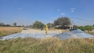 Cortes de luz, casas destechadas y árboles caídos provocan los vientos fuertes en varios puntos del Paraguay