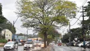 Miércoles con lluvias, tormentas eléctricas y vientos del sur