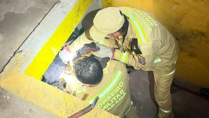 Hallan túnel utilizado para mover mercaderías de contrabando desde Paraguay