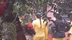 Hallan a adolescente de 14 años enterrada en una vivienda familiar en Caazapá