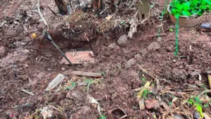 Caso Roselín: Imputación por homicidio doloso apunta a premeditación y complicidad