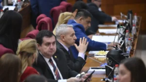 Centurión presenta proyecto para eliminar el Consejo del IPS