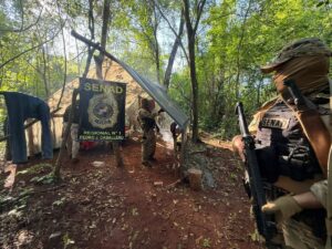 SENAD destruye nueve hectáreas de marihuana en un operativo en el distrito de Cerro Corá