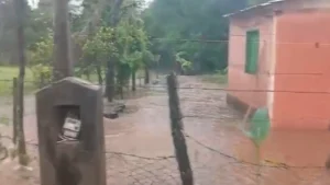 Varias familias quedaron bajo agua en San Patricio tras las intensas lluvias