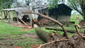Temporal afectó a unas 100 familias en Concepción, Yby Yaú la más perjudicada