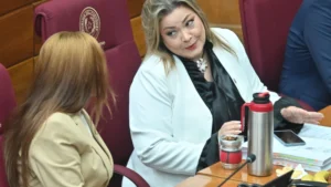 Senadores oficializan pedido de pérdida de investidura de Zenaida Delgado